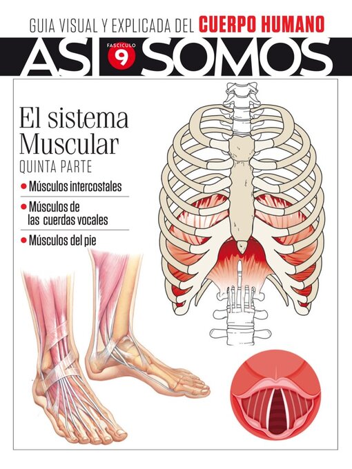 Détails du titre pour Así Somos - El cuerpo humano par Media Contenidos - Disponible